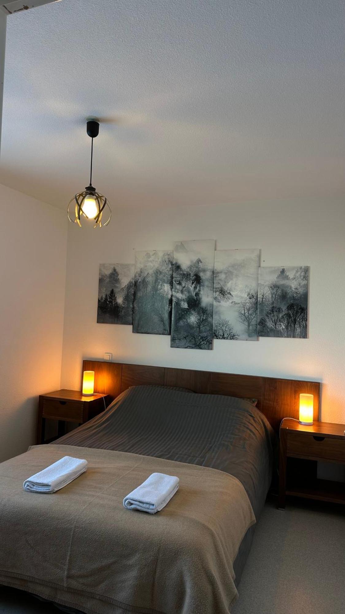 Appartements Du Pic D'Anie อเรตต์ ภายนอก รูปภาพ