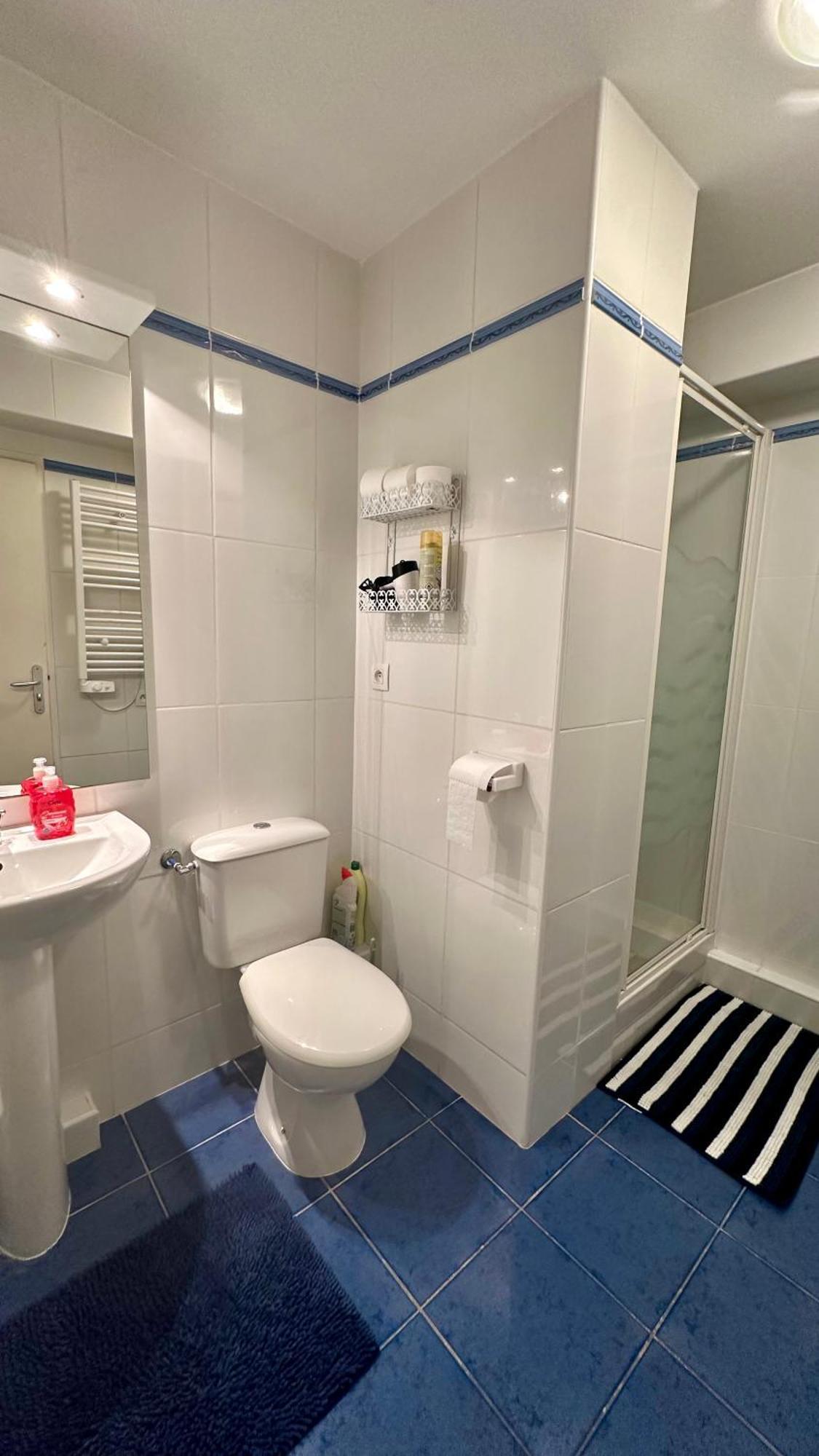 Appartements Du Pic D'Anie อเรตต์ ภายนอก รูปภาพ