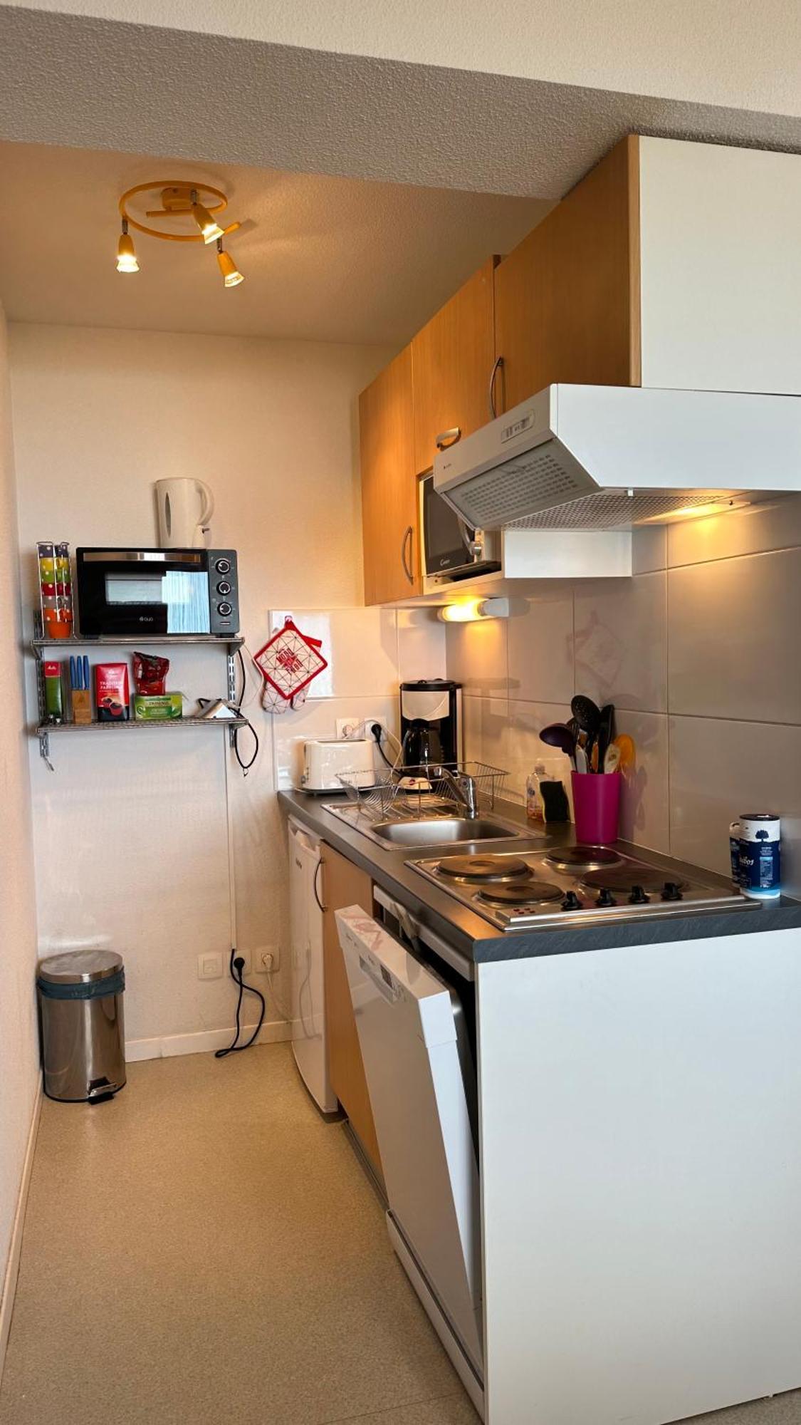 Appartements Du Pic D'Anie อเรตต์ ภายนอก รูปภาพ